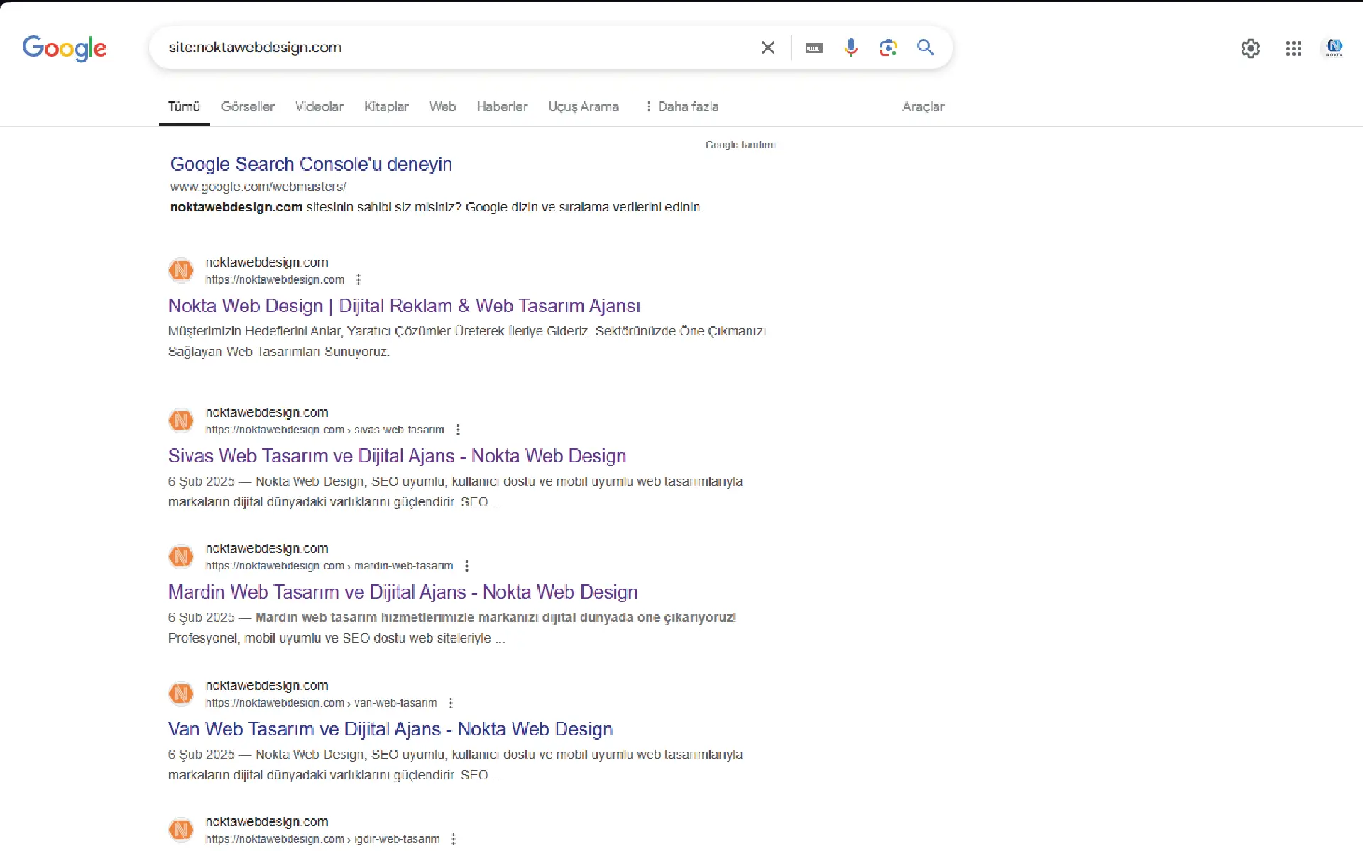 Web Siteniz Google Tarafından Dizine Eklenmiş mi Kontrol Edin